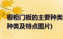 橱柜门板的主要种类及特点(橱柜门板的主要种类及特点图片)