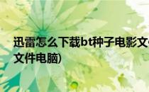 迅雷怎么下载bt种子电影文件你懂的(迅雷怎么下载bt种子文件电脑)