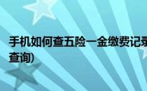 手机如何查五险一金缴费记录(手机如何查五险一金缴费记录查询)