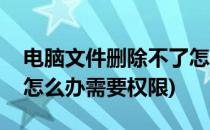 电脑文件删除不了怎么办(电脑文件删除不了怎么办需要权限)