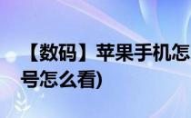 【数码】苹果手机怎么看型号(苹果手机的型号怎么看)