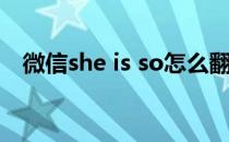 微信she is so怎么翻译(she is so的意思)