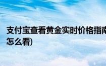 支付宝查看黄金实时价格指南(支付宝查看黄金实时价格指南怎么看)