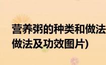 营养粥的种类和做法及功效(营养粥的种类和做法及功效图片)