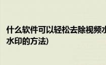 什么软件可以轻松去除视频水印(什么软件可以轻松去除视频水印的方法)