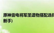 原神雷电将军圣遗物搭配选择推荐(原神雷电将军圣遗物搭配新手)