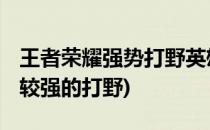 王者荣耀强势打野英雄 个人看法(王者荣耀比较强的打野)