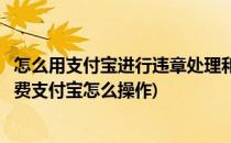 怎么用支付宝进行违章处理和网上缴费(交通违章罚款网上缴费支付宝怎么操作)