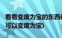 看看变废为宝的东西都有哪些?(还有什么东西可以变废为宝)