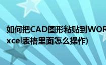 如何把CAD图形粘贴到WORD或EXCEL中(把cad图粘贴在excel表格里面怎么操作)