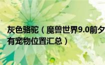 灰色骆驼（魔兽世界9.0前夕稀有宝宝大全 WOW9.0前夕稀有宠物位置汇总）