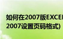 如何在2007版EXCEL中设置页码格式(office2007设置页码格式)