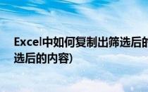 Excel中如何复制出筛选后的内容(excel筛选后怎么复制筛选后的内容)