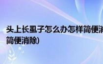 头上长虱子怎么办怎样简便消除(女儿头上长虱子怎么办怎样简便消除)