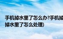 手机掉水里了怎么办?手机掉水里的正确处理方法(请问手机掉水里了怎么处理)