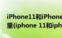 iPhone11和iPhone11Pro的区别,区别在哪里(iphone 11和iphone11pro区别)