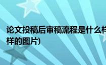 论文投稿后审稿流程是什么样的(论文投稿后审稿流程是什么样的图片)