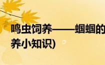 鸣虫饲养——蝈蝈的品种和饲养方法(蝈蝈饲养小知识)