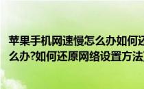 苹果手机网速慢怎么办如何还原网络设置(苹果手机网速慢怎么办?如何还原网络设置方法)