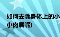 如何去除身体上的小肉瘤(如何去除身体上的小肉瘤呢)