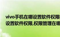 vivo手机在哪设置软件权限权限管理在哪里(vivo手机在哪设置软件权限,权限管理在哪里关闭)