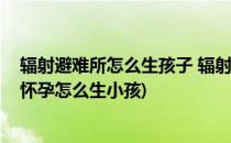 辐射避难所怎么生孩子 辐射避难所如何生小孩(辐射避难所怀孕怎么生小孩)