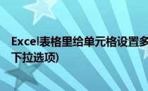 Excel表格里给单元格设置多个下拉选项(表格如何选择多个下拉选项)