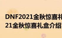 DNF2021金秋惊喜礼盒能开出什么（DNF2021金秋惊喜礼盒介绍）