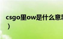 csgo里ow是什么意思（csgo里ow是指什么）