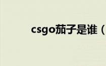 csgo茄子是谁（csgo茄子科普）