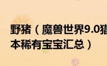 野猪（魔兽世界9.0猎人宝宝大全 wow9.0版本稀有宝宝汇总）