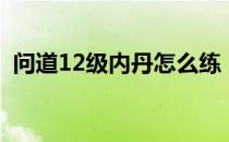 问道12级内丹怎么练（12级内丹炼制方法）