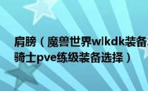 肩膀（魔兽世界wlkdk装备怎么选 wow80wlk怀旧服死亡骑士pve练级装备选择）