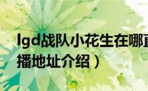 lgd战队小花生在哪直播（lgd战队小花生直播地址介绍）