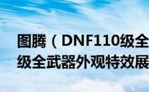 图腾（DNF110级全武器外观一览 DNF110级全武器外观特效展示）