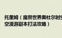 托里姆（魔兽世界奥杜尔时空漫游怎么打 wow9.0奥杜尔时空漫游副本打法攻略）