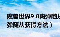 魔兽世界9.0肉弹随从怎么获得（wow9.0肉弹随从获得方法）