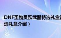 DNF圣物灵跃武器特选礼盒能开开出什么（圣物灵跃武器特选礼盒介绍）