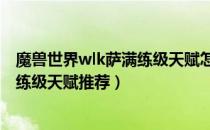 魔兽世界wlk萨满练级天赋怎么点（wow80wlk怀旧服萨满练级天赋推荐）