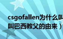 csgofallen为什么叫巴西教父（csgofallen叫巴西教父的由来）