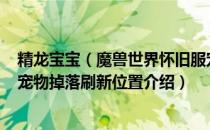 精龙宝宝（魔兽世界怀旧服宠物在哪刷 wow60怀旧服稀有宠物掉落刷新位置介绍）