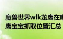 魔兽世界wlk龙鹰在哪抓（wowwlk怀旧服龙鹰宝宝抓取位置汇总）