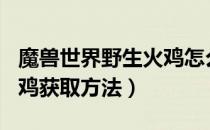 魔兽世界野生火鸡怎么获得（wow9.0野生火鸡获取方法）