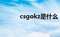 csgokz是什么（csgokz介绍）