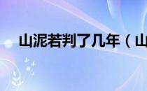 山泥若判了几年（山泥若判刑时间详情）