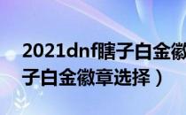 2021dnf瞎子白金徽章选什么（2021dnf瞎子白金徽章选择）