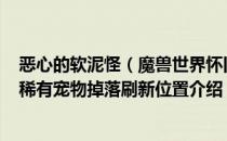 恶心的软泥怪（魔兽世界怀旧服宠物在哪刷 wow60怀旧服稀有宠物掉落刷新位置介绍）