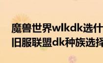 魔兽世界wlkdk选什么种族（wow80wlk怀旧服联盟dk种族选择）