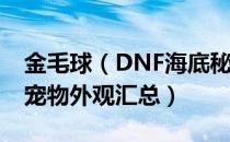 金毛球（DNF海底秘宝宠物有哪些 海底秘宝宠物外观汇总）