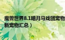 魔兽世界8.1暗月马戏团宠物怎么获得（wow8.1暗月马戏团新宠物汇总）